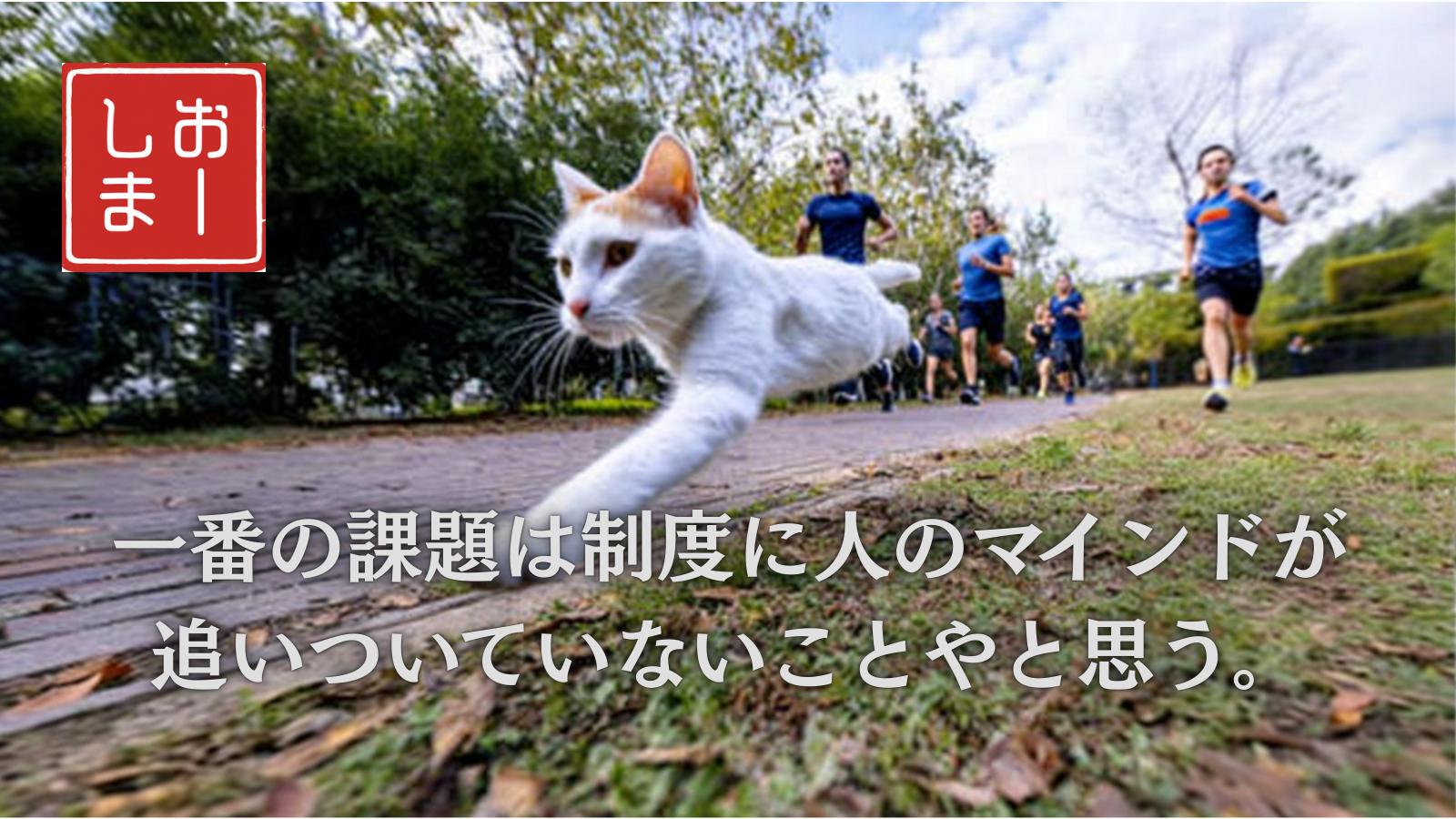 投稿事例1