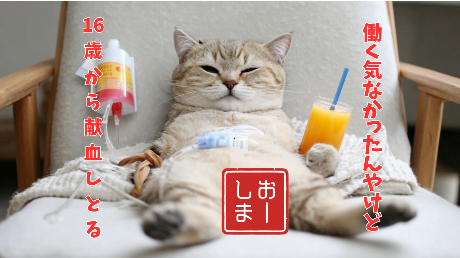 投稿事例5