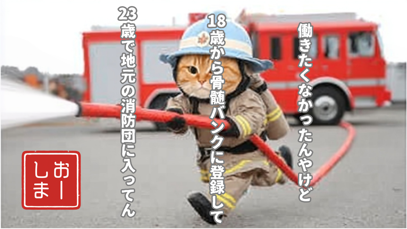 投稿事例4