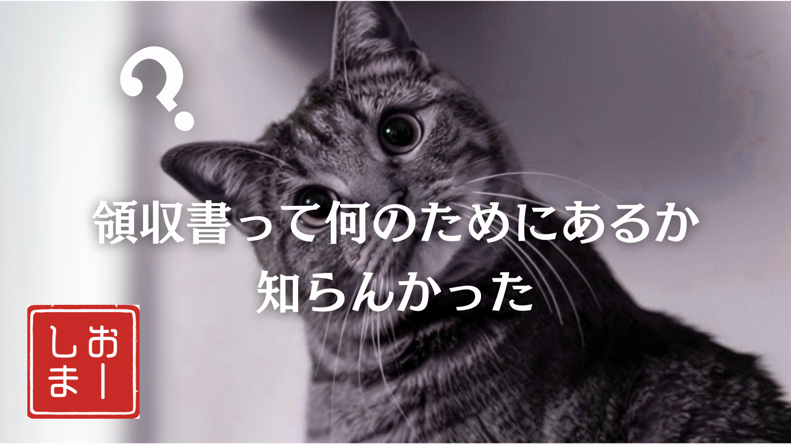 投稿事例6