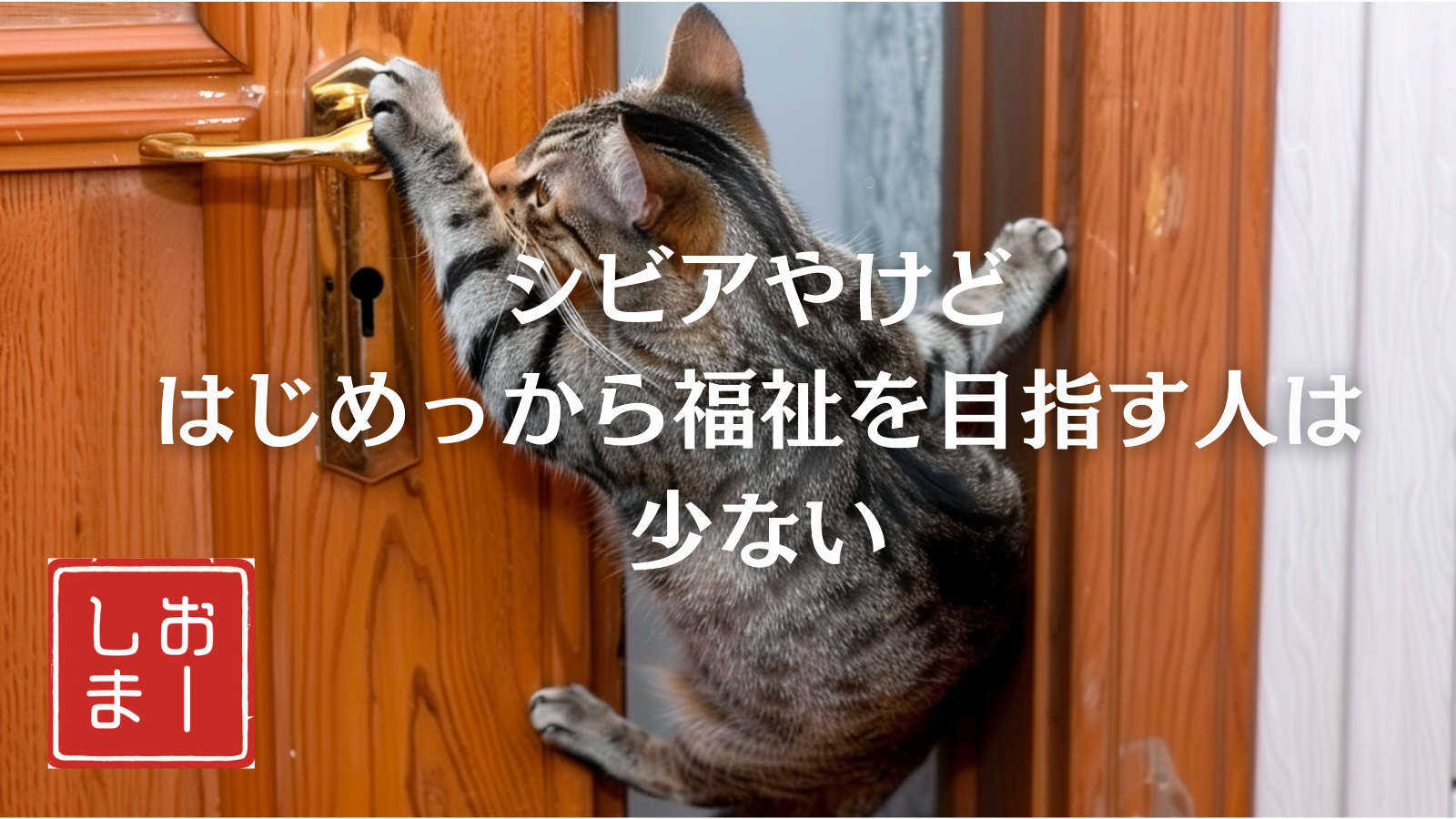 投稿事例9